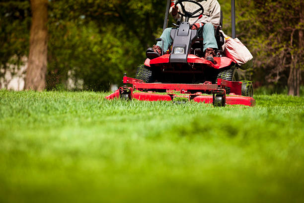 garden maintenance