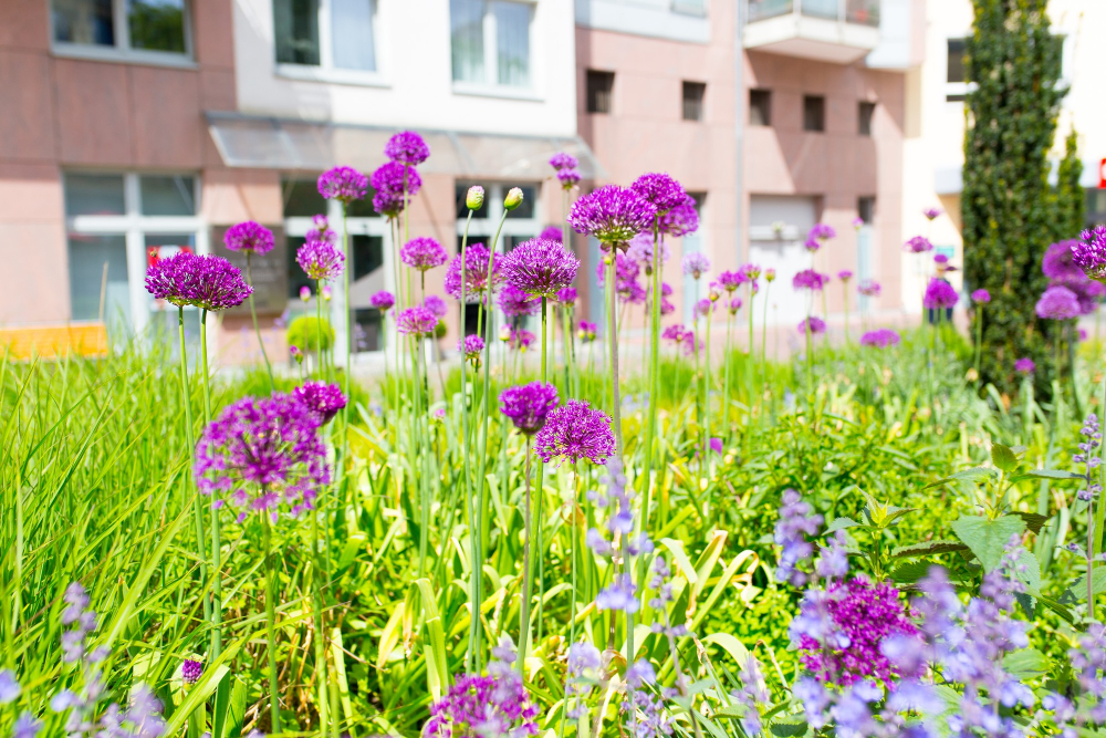 maintaining your garden in Toronto