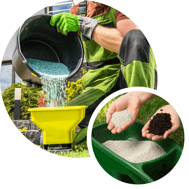Best Time to Fertilise Lawn in East York, Toronto