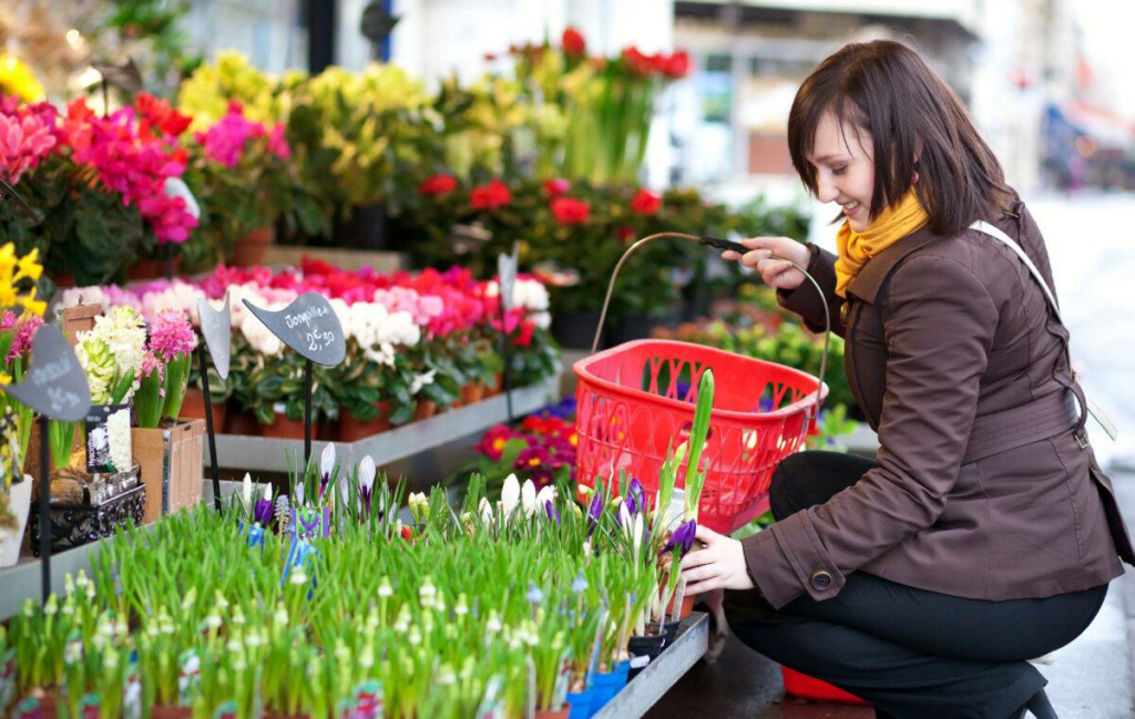 Best flowering plants for Toronto