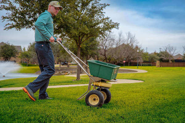 When to fertilize lawn in Toronto