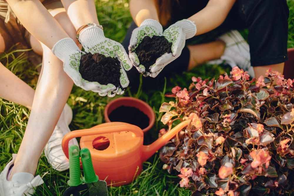 Gardening Tips for Beginners