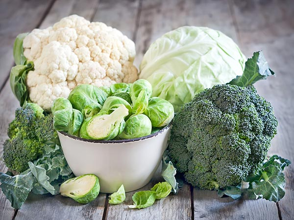 best fall vegetables for garden in Toronto