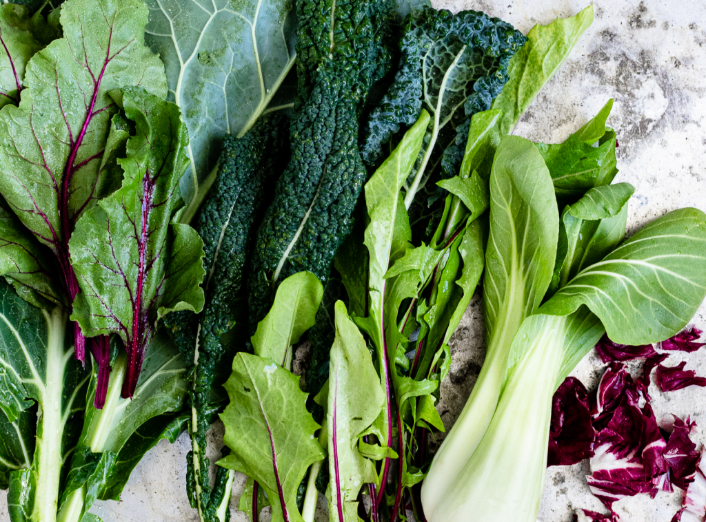 best fall vegetables for garden in Toronto