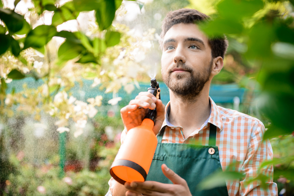 Weed management