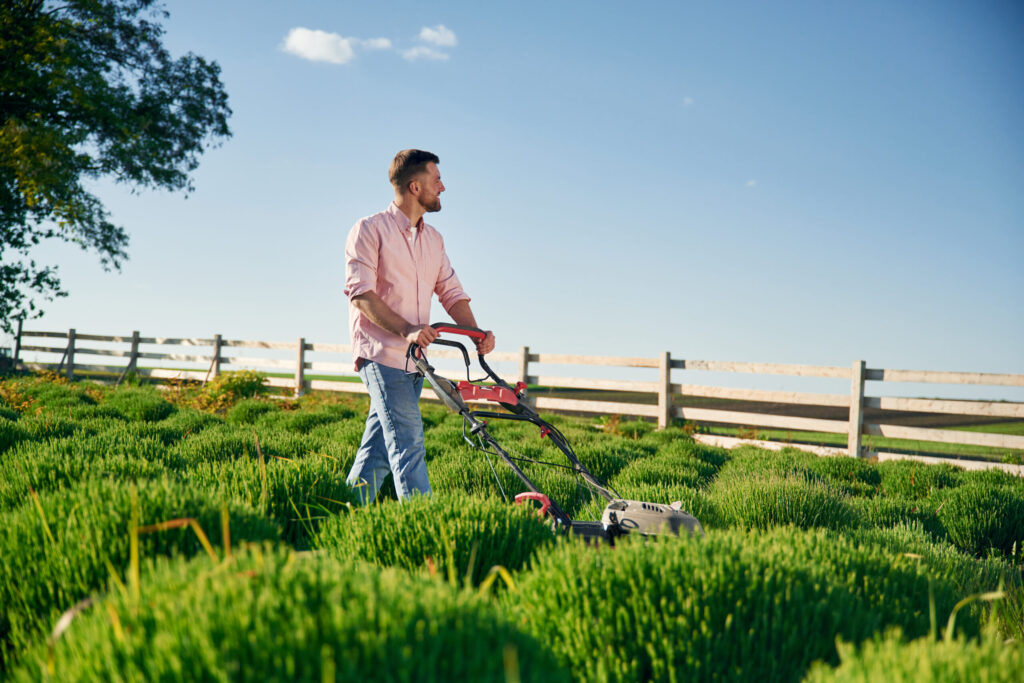 garden maintenance