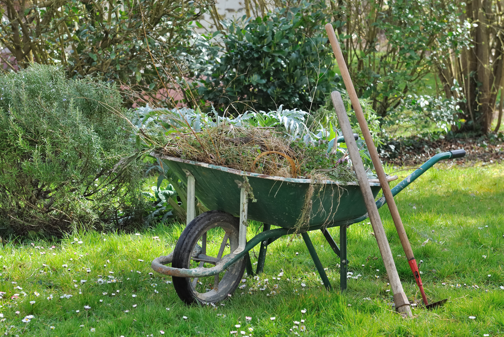 garden-waste-disposal