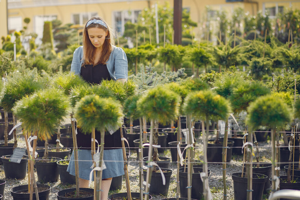 mature trees create a thriving backyard