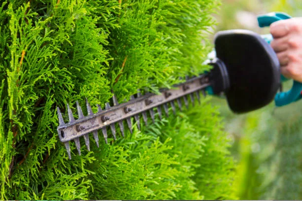 garden maintenance in Toronto