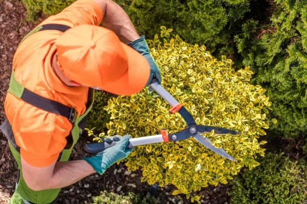 easy garden maintenance tips