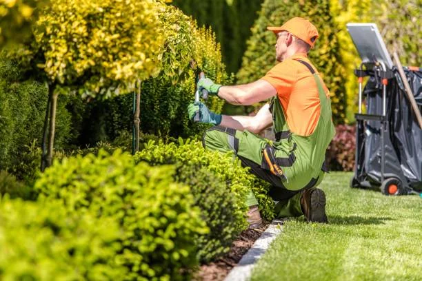guide to garden maintenance
