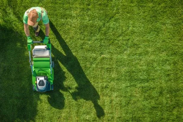 Lawn Mowing and Garden Maintenance services in old toronto