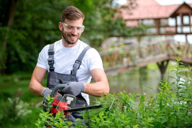 A Man Pruning Hedges