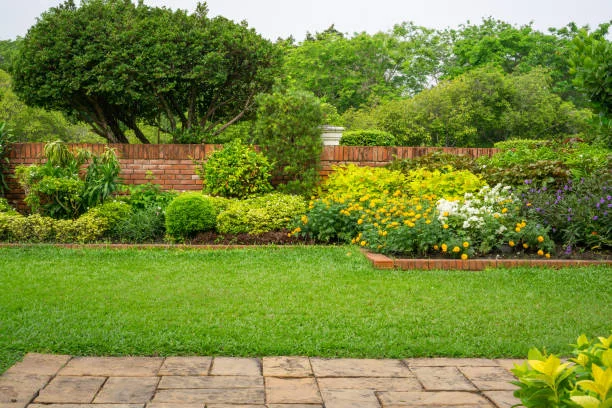garden potential with proper maintenance