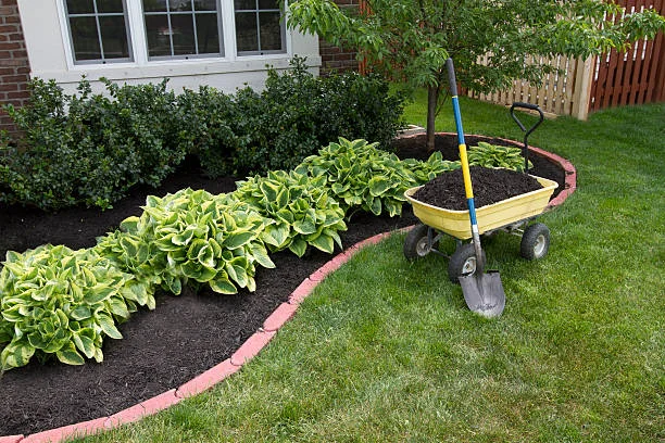 garden maintenance