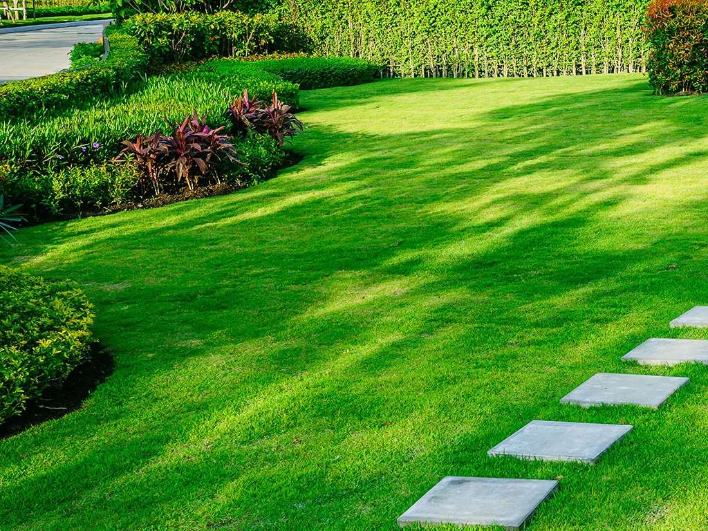 Best Grass Seed for Ontario