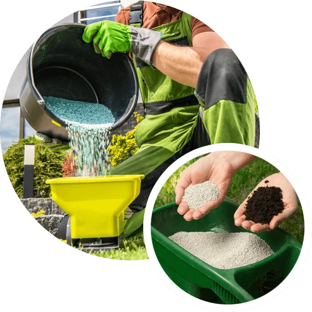 Best Time to Fertilise Lawn in East York, Toronto