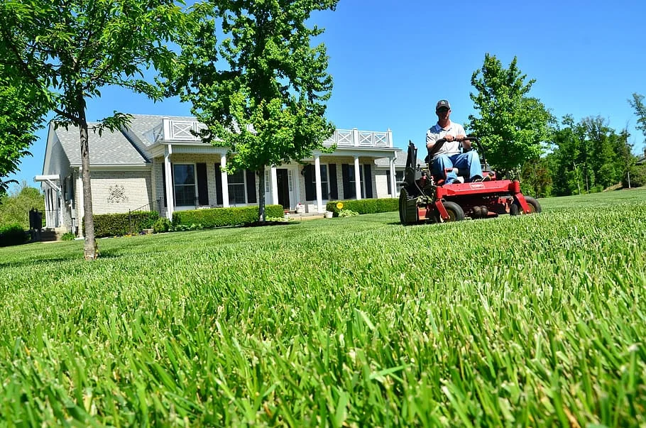 Lawn mowing services Bathurst