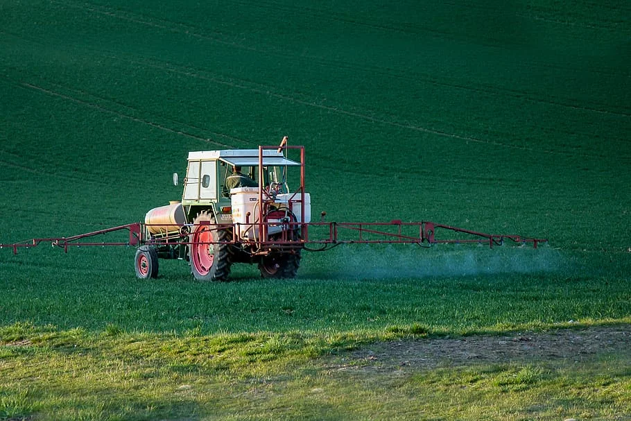 Weed Control Rosedale