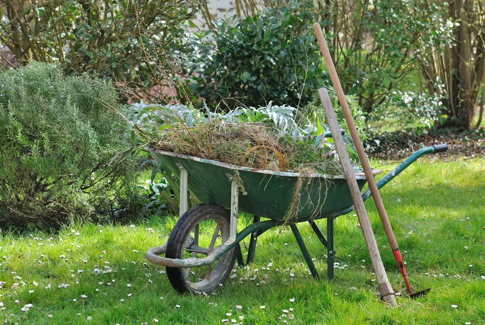 garden-waste-disposal