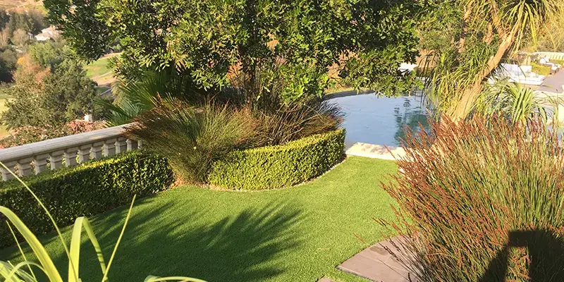 artificial turf